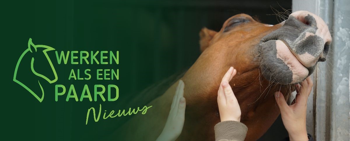 Stichting Werken Als Een Paard - NIEUWS